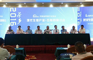 现代生猪产业+互联网研讨会在河南信阳举办