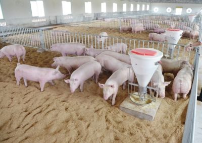 生态环境部已派工作组赴200生猪养殖大县，严查禁养区划定