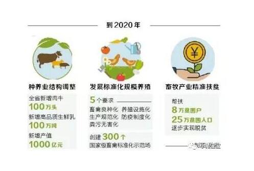 河南省畜牧业“十三五”发展规划提出 2020年实现畜牧业现代化全国领先