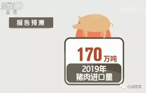 央视：猪价2020年达24元并给出了这样的解释