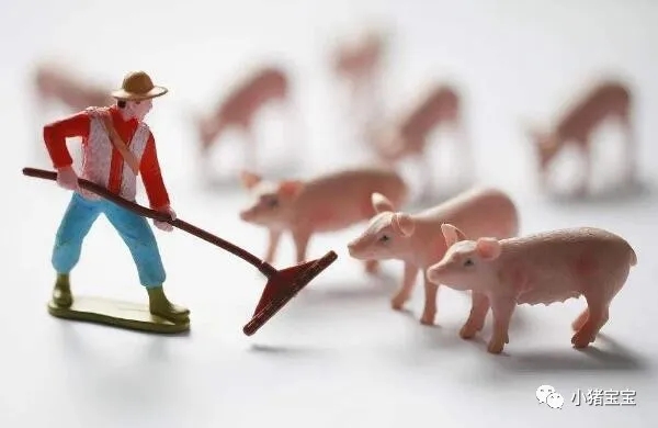 生猪期货交易获批，对农牧行业带来哪些影响？