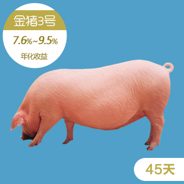 RX180622期金猪3号（45天）_R2O产权式养猪